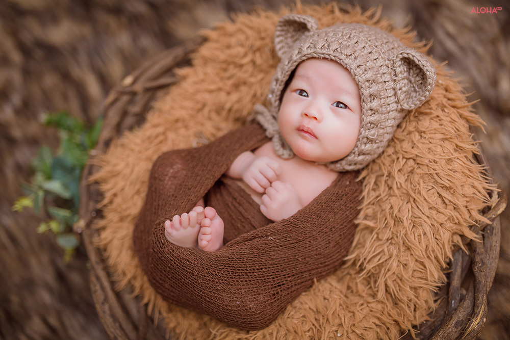 album ảnh newborn 15